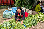 Luang Prabang, Laos - The day market.